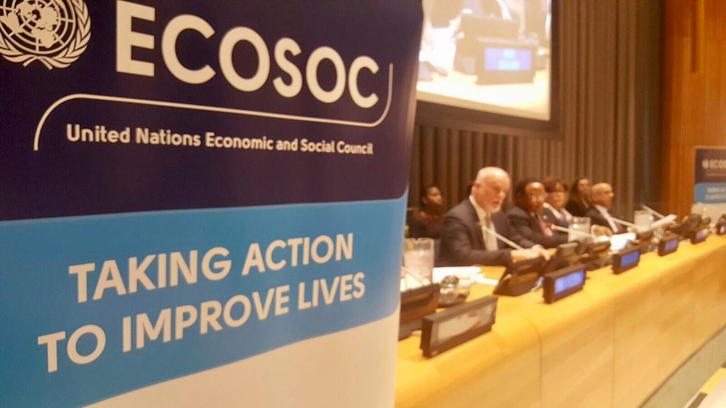 Sitzung des ECOSOC-Ausschusses