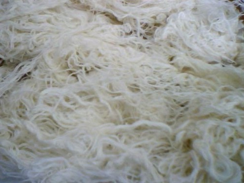 výroba bavlny