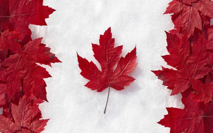 Hogyan szerezzünk kanadai állampolgárságot egy ukrán számára?