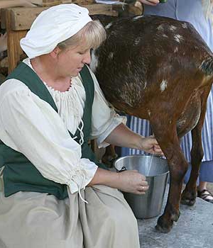 vânzarea laptelui de capră