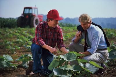 landwirtschaftliche Geschäftsideen