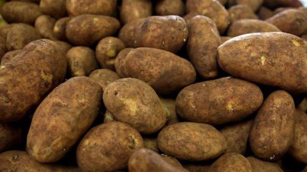  gemiddelde aardappelopbrengst vanaf 1 ha