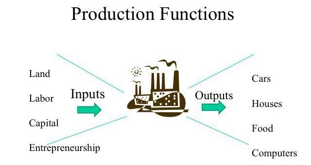 وظيفة الإنتاج والإنتاج