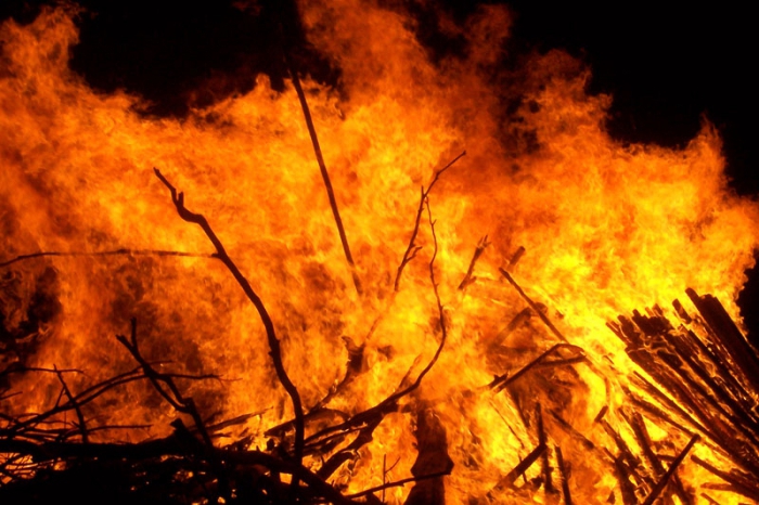 The damaging factors of a forest fire