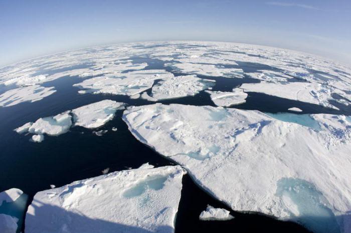 A sarkvidéki övezet hőmérséklete januárban és júliusban