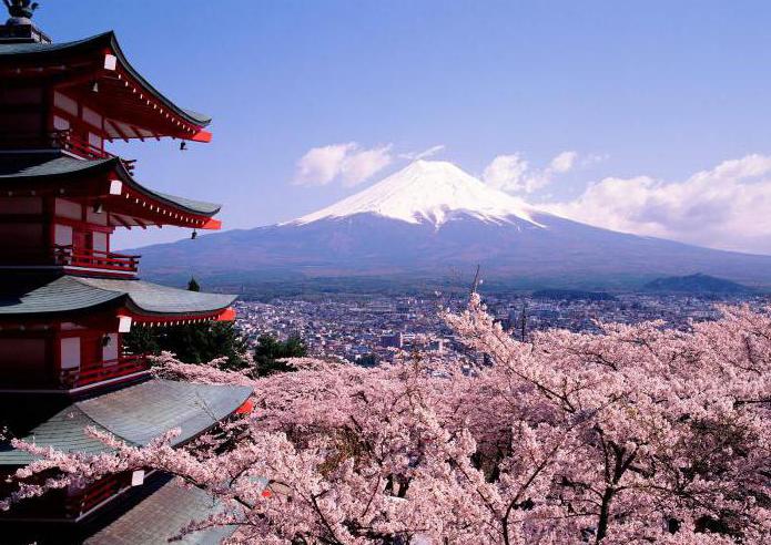 nevoie de viză în Japonia