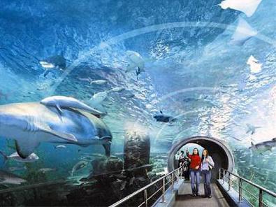 Moskva största akvarium på vdnh