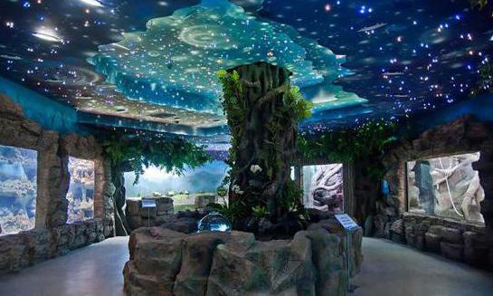 Das größte Aquarium in Moskau Rio