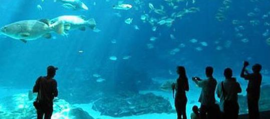 a legnagyobb akvárium Moszkva-ban