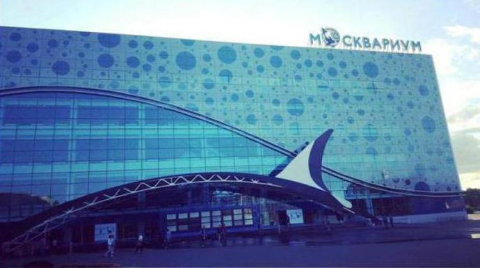 Největší akvárium v ​​Moskvě