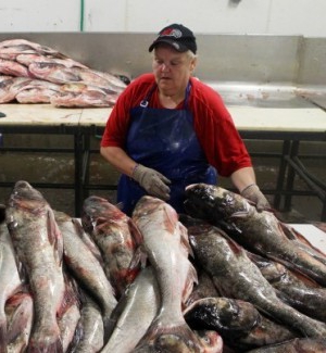 Fischgeschäft als Geschäft