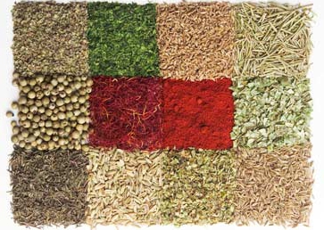 spice manufacturing business