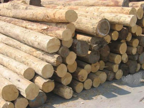 plan d'affaires pour le travail du bois