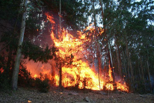 klasifikace ohně rašeliny