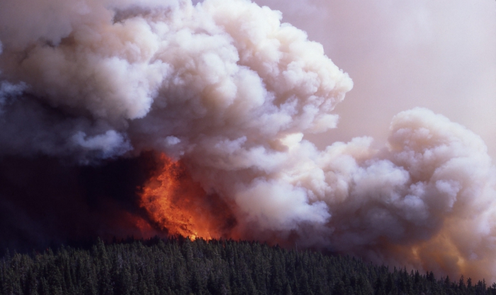 klasifikace přírodních požárů