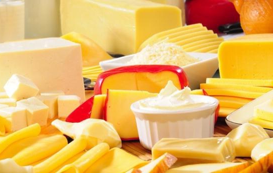obchodní plán výroby sýrů