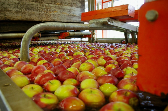 metody zpracování jablek