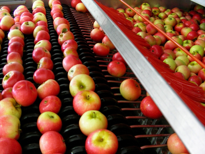 линия за обработка на ябълки