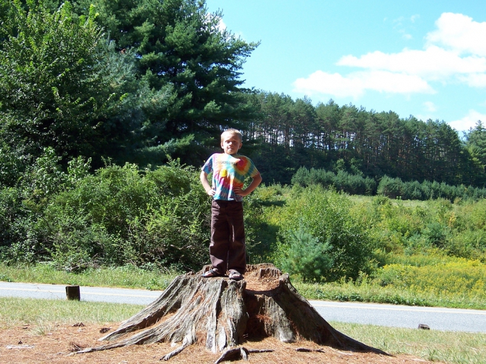 enfants dans la nature