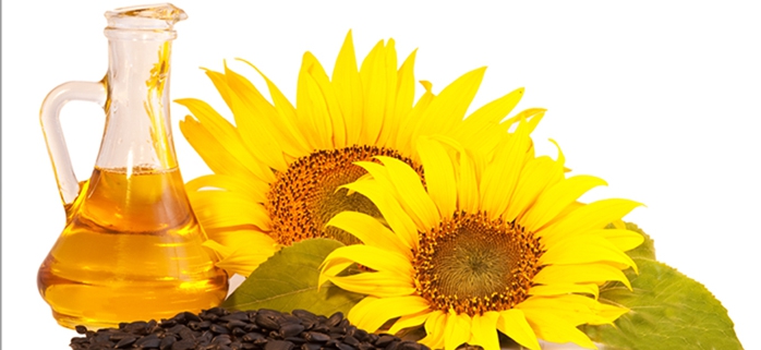 Sunflower oil filter