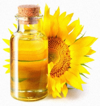 selection of equipment for the production of sunflower oil