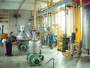 Churn for the production of sunflower oil