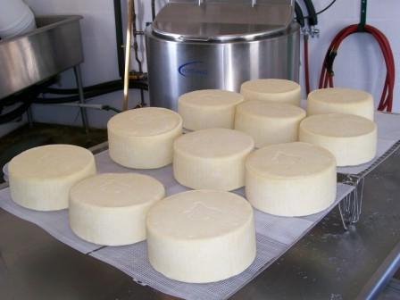 материален баланс на производството на сирене