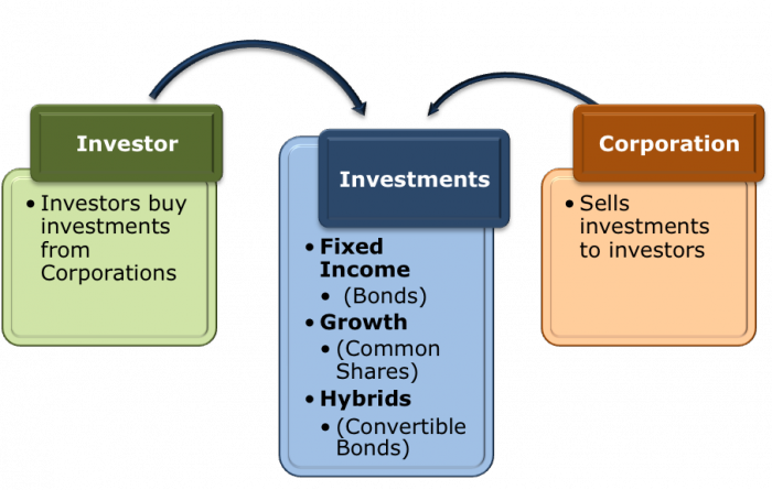 koncept och typer av investeringar