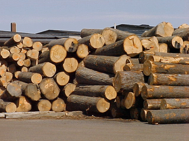 wood processing