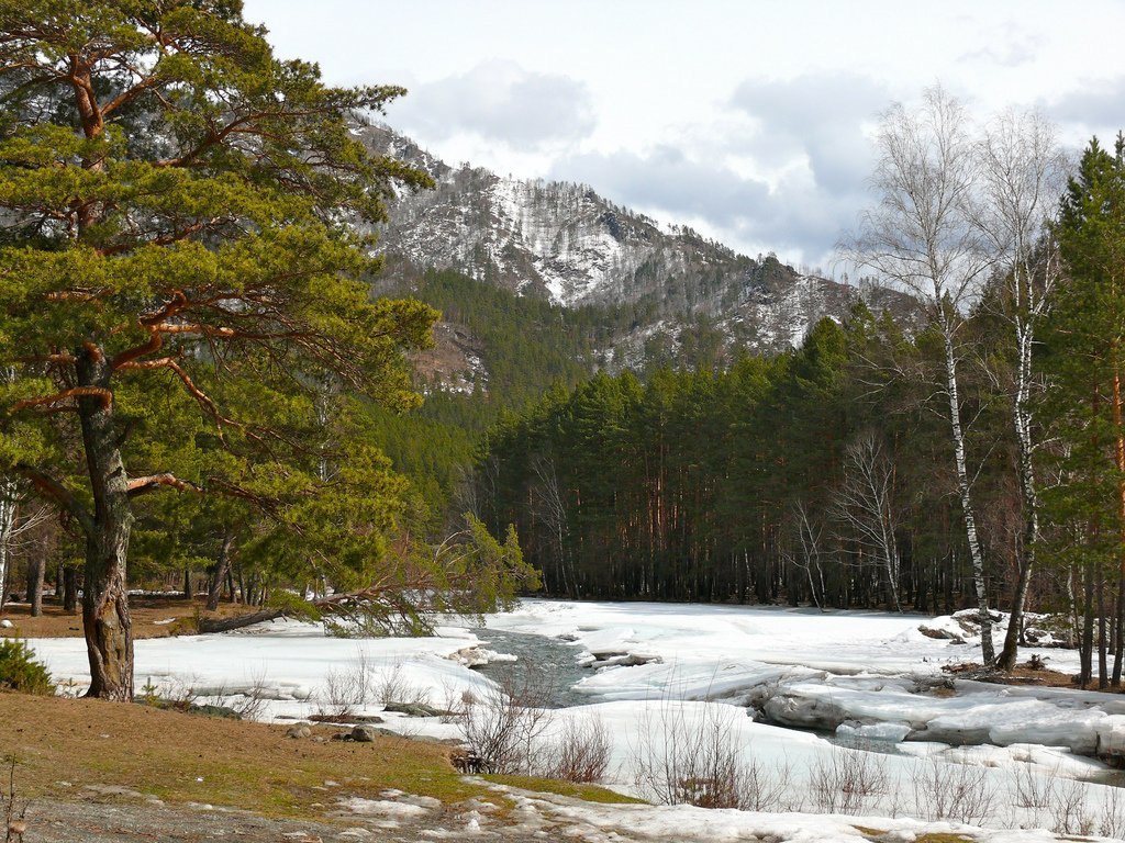 Legal regime of state nature reserves