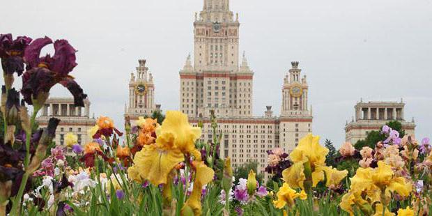 Stalinistiska skyskrapor i Moskva-legender