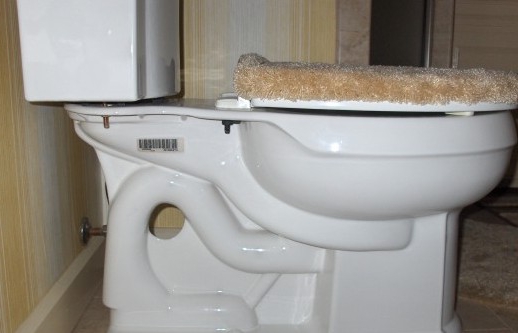 hur man väljer en toalett i ett privat hus
