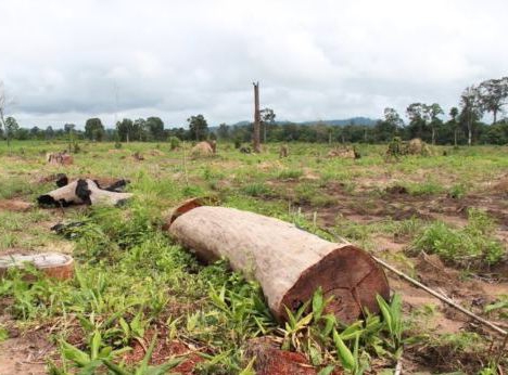 solució de disputes de terres