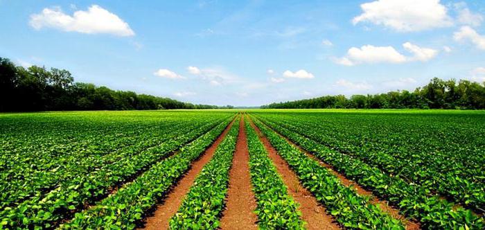 types of permitted use of agricultural land