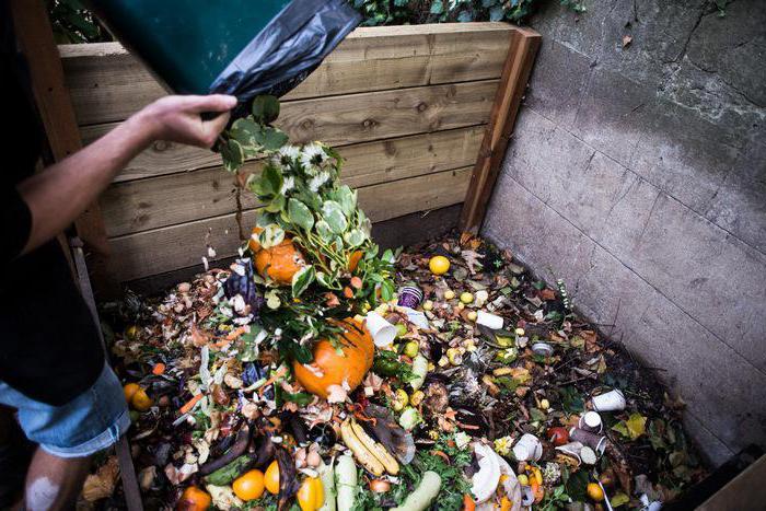 التخلص من النفايات الغذائية