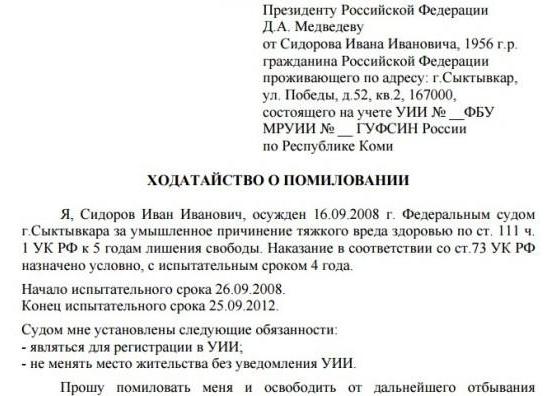  amnesti och benådning i den ryska federationens straffrätt