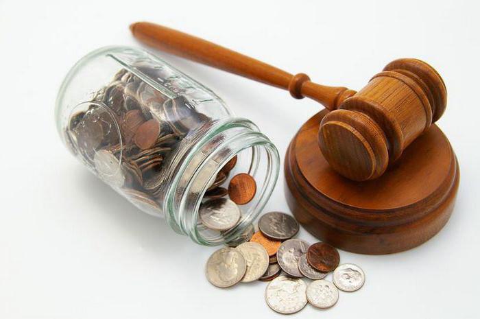 Szövetségi törvény a csőd fizetésképtelenségéről 224. cikk