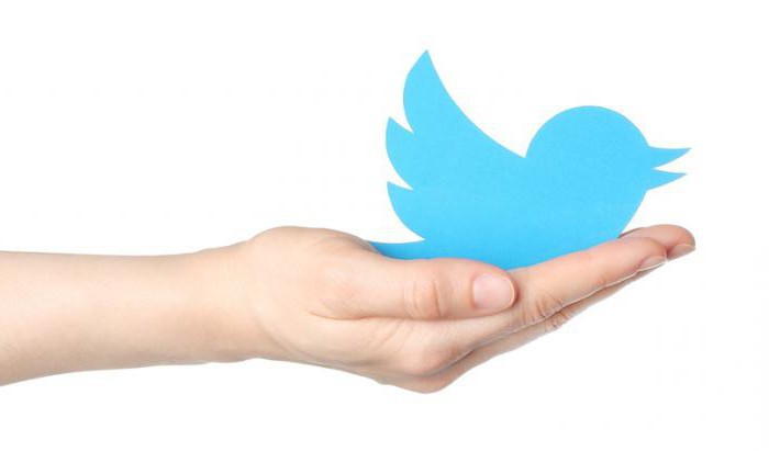 proč potřebujete twitter a jak jej používat