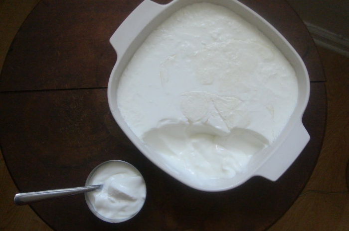 Auswahl der Ausrüstung für die Herstellung von Joghurt
