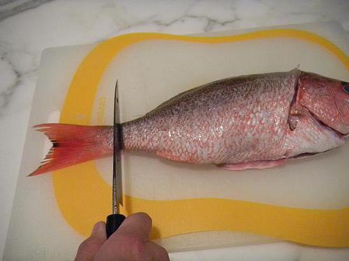 Vis snijden