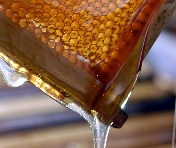 méz feldolgozása