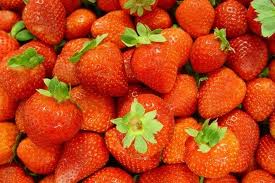 Strawberry cultivation all year round