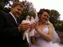 Pigeons for a wedding