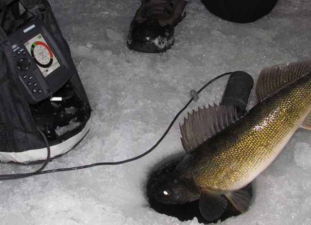 jak si vybrat lovec ryb pro zimní rybolov