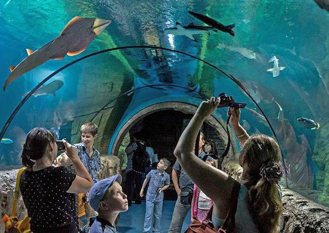waar is het nieuwe aquarium in Moskou