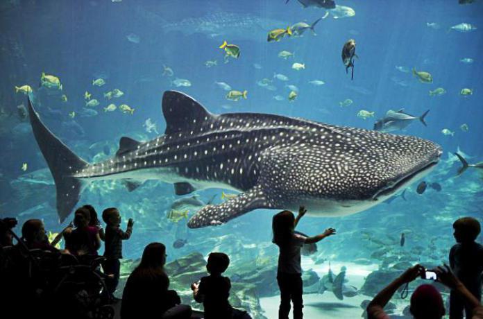 new aquarium in Moscow address