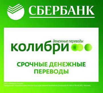 Transfer Kolibri Sberbank, wie zu bekommen