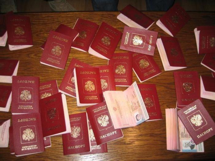 was Sie brauchen, um Ihren Reisepass zu ersetzen