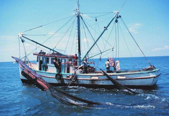 глоба за риболов в хвърлящи мрежи