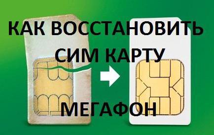 how to recover a sim card megaphone